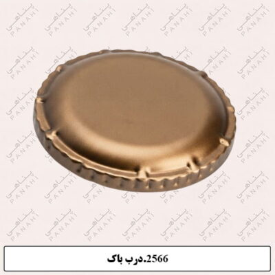 2566.درب باک جدید